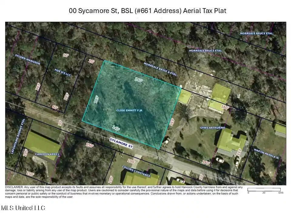 Image 1: Aerial Tax Plat_00 Sycamore St