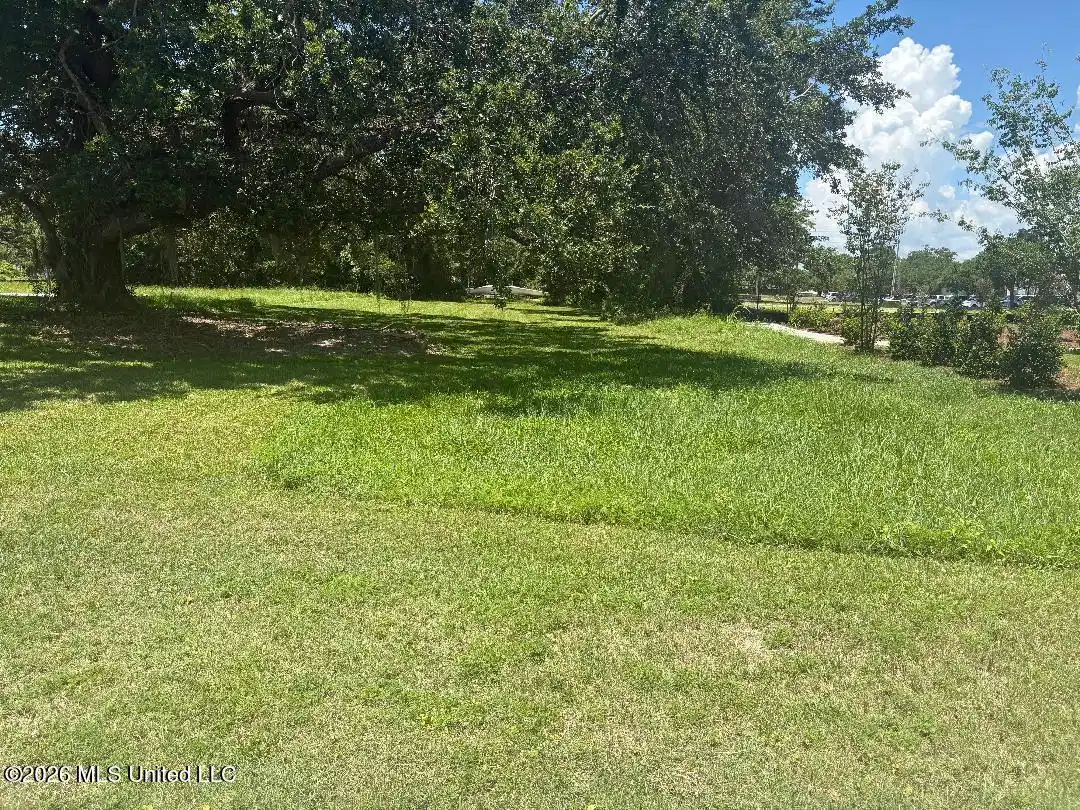 Image 1: Primary