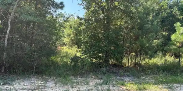 Image 2: land2