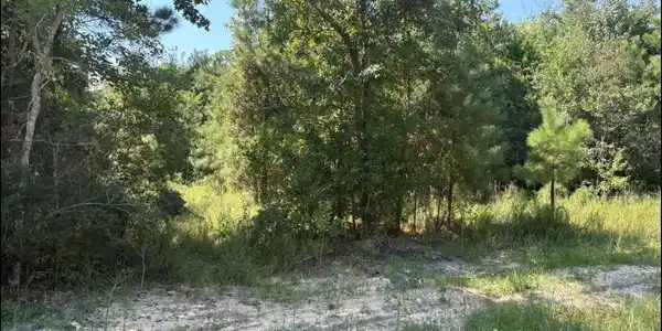 Image 3: land1