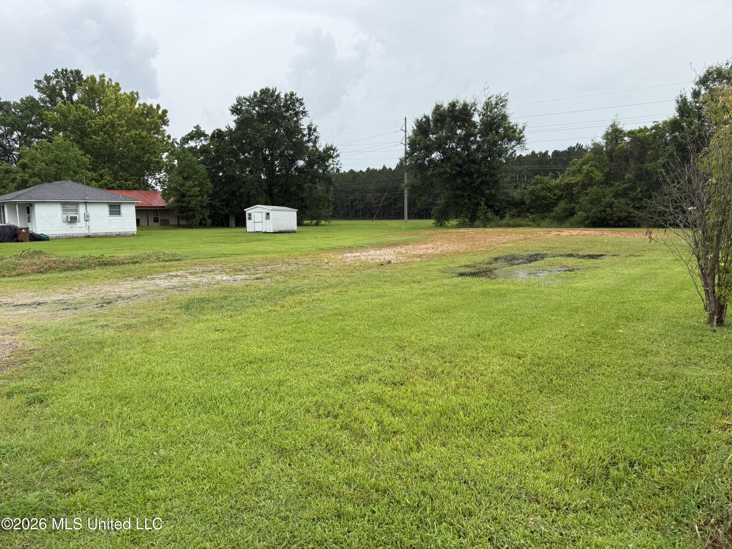 Image 2: IMG_1247