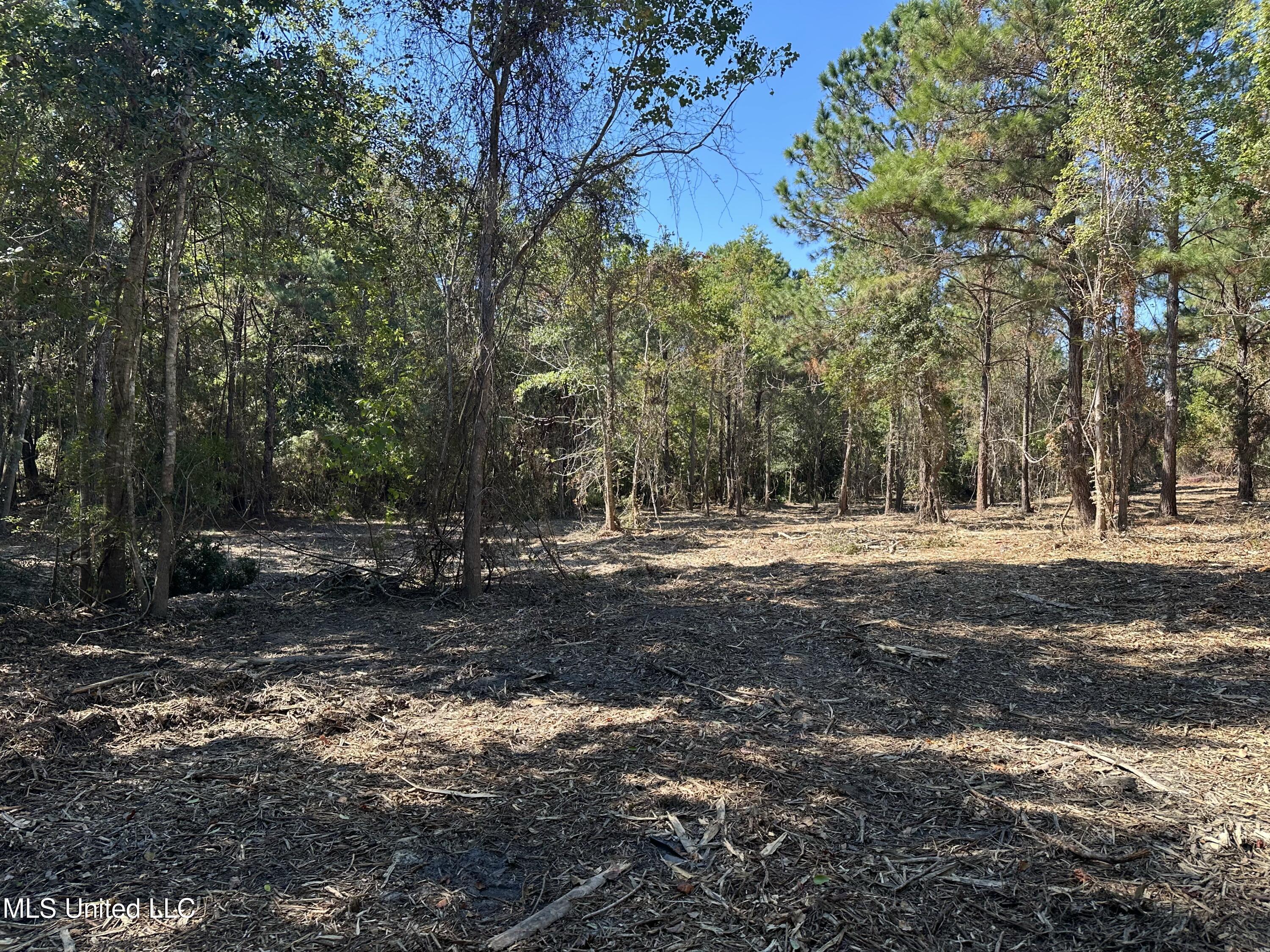 Image 1: land