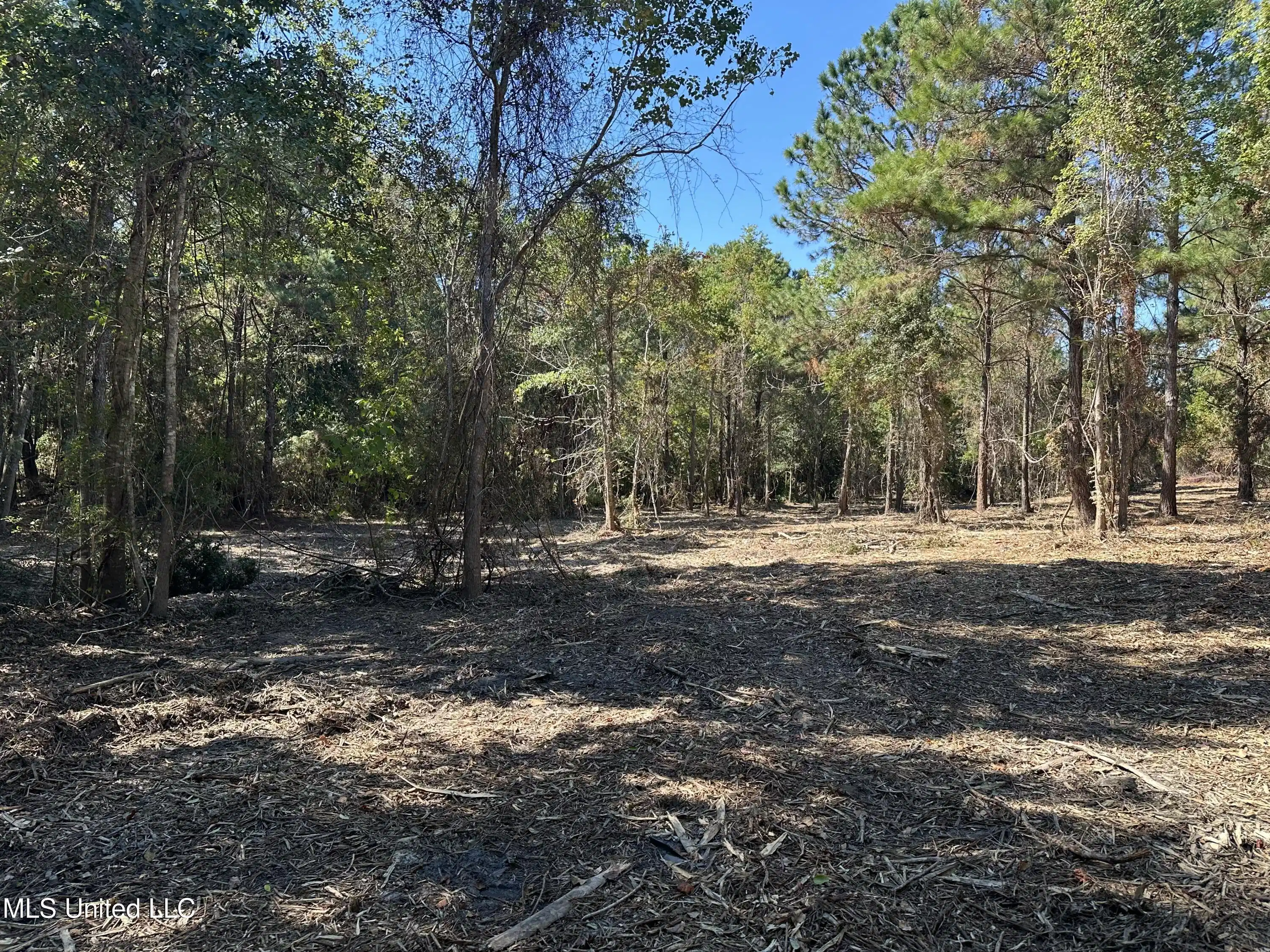 Image 1: land