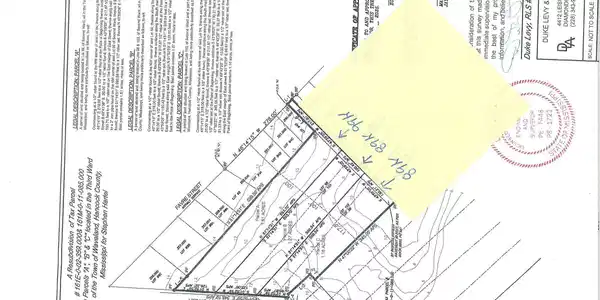 Image 3: East ST survey