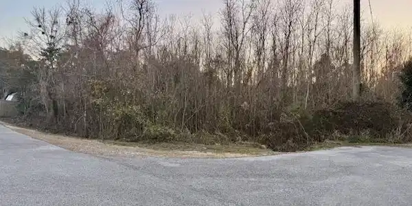Image 2: Vacant lot(s)