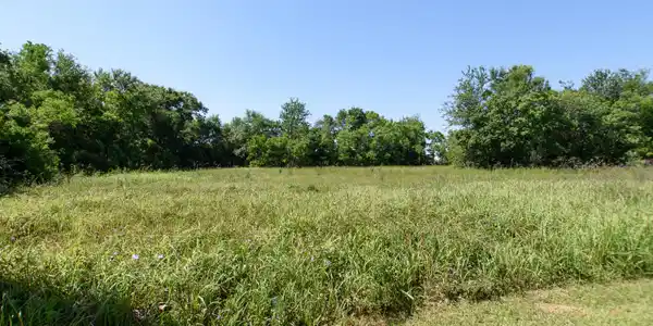 Image 3: DSC_0015