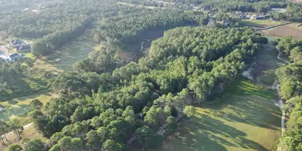 Image 4: Drone shot 2