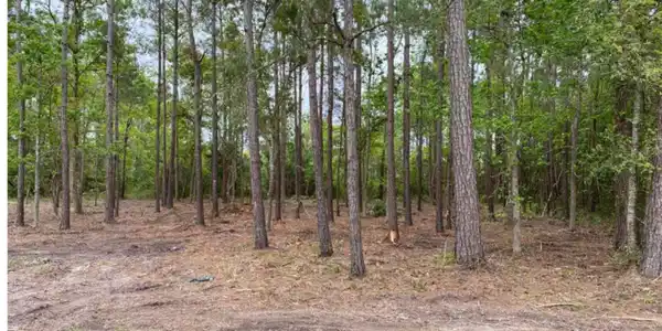 Lot 44 Basswood Drive