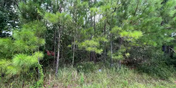 Midway Drive E