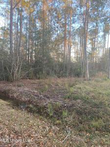 Pickering Forrest Drive