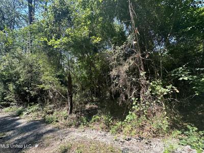 Lot 2634 Sycamore Street