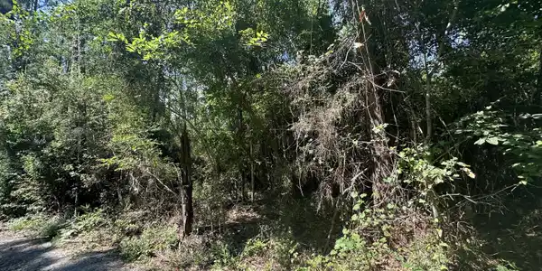 Lot 2634 Sycamore Street