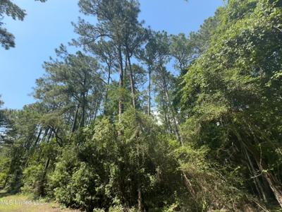 Lot 2633 Sycamore Street