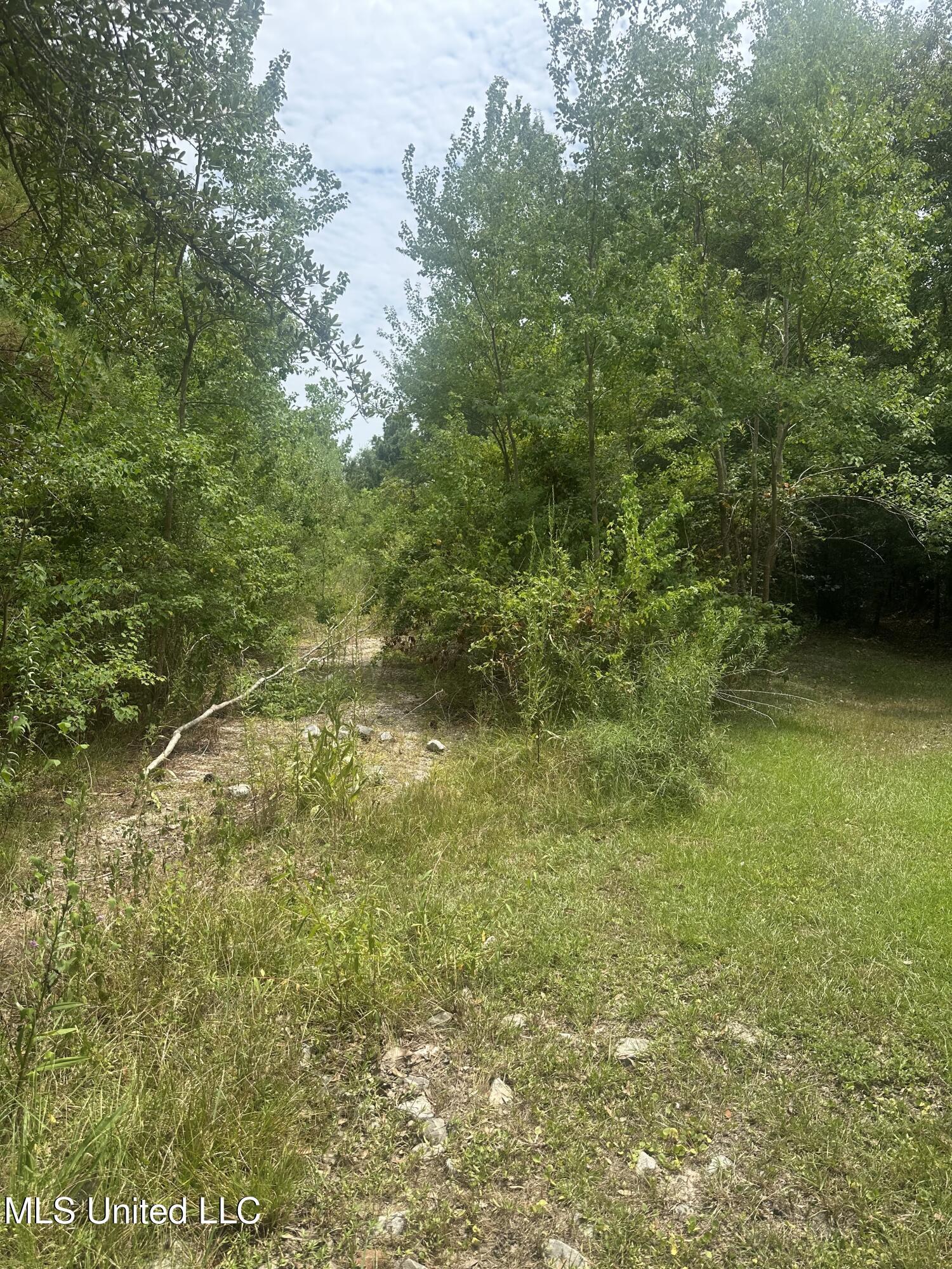 Image 1: Street View