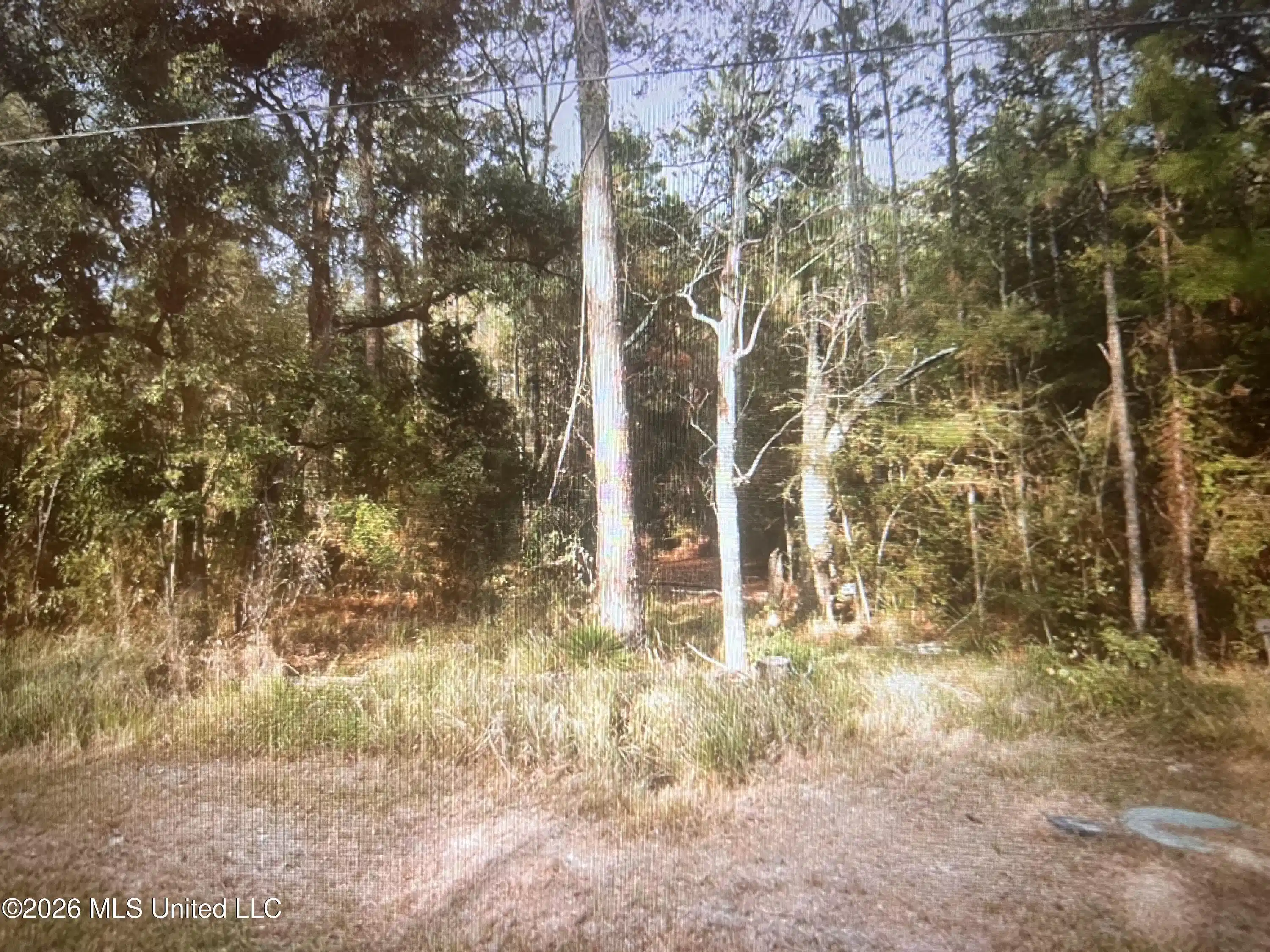 Image 1: Front of Lot