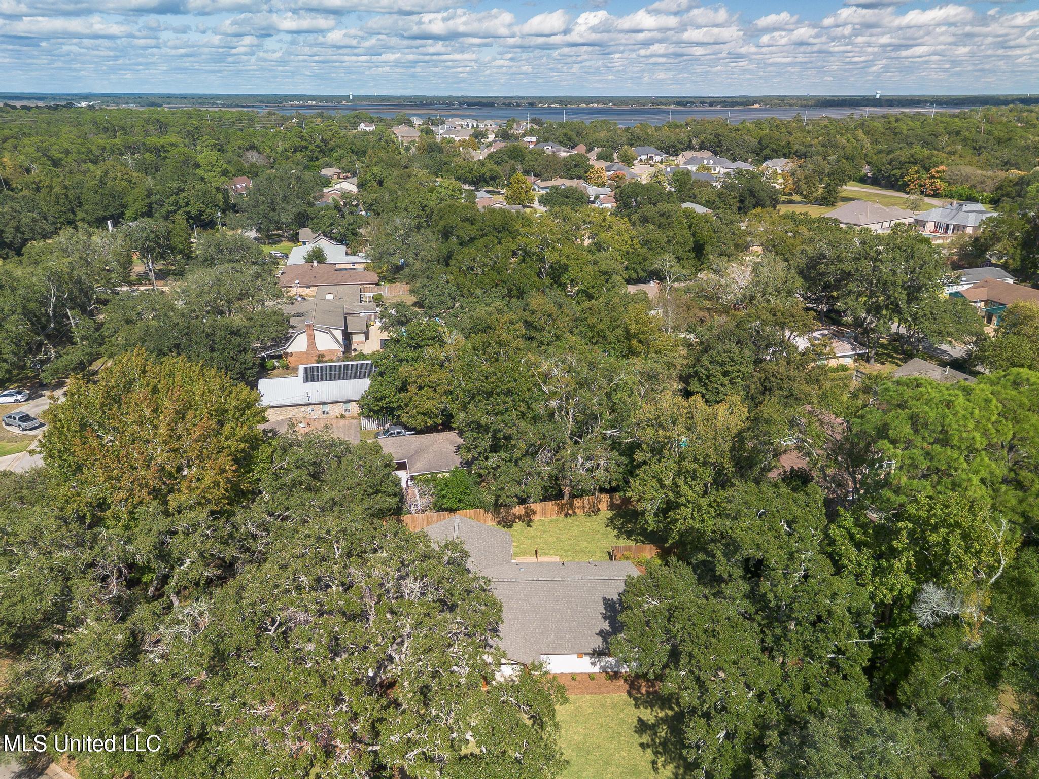 Image 4: DJI_0601