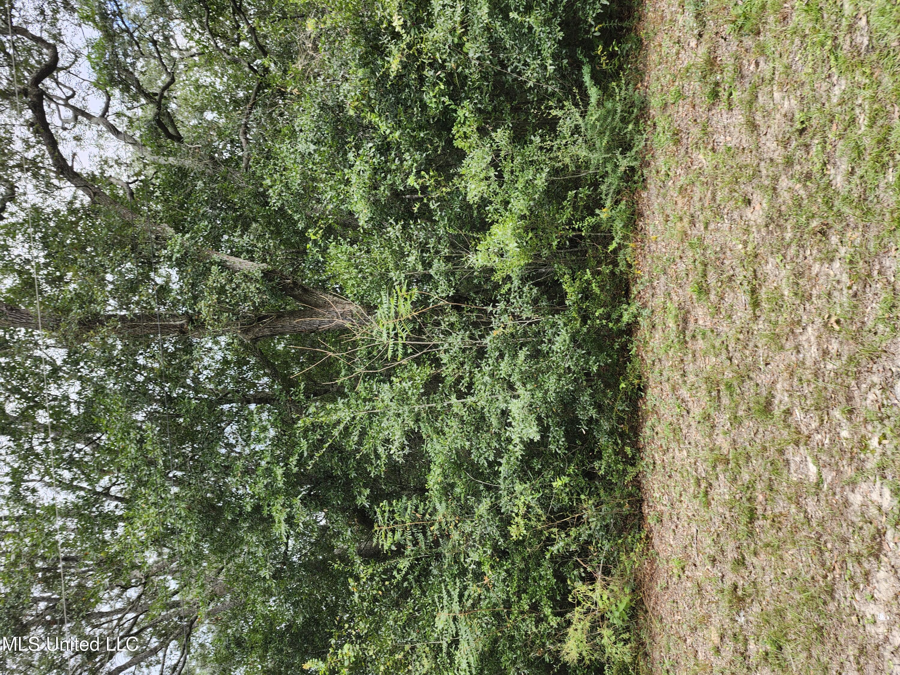 0 Hunt, Ocean Springs, MS lhrmls02443608