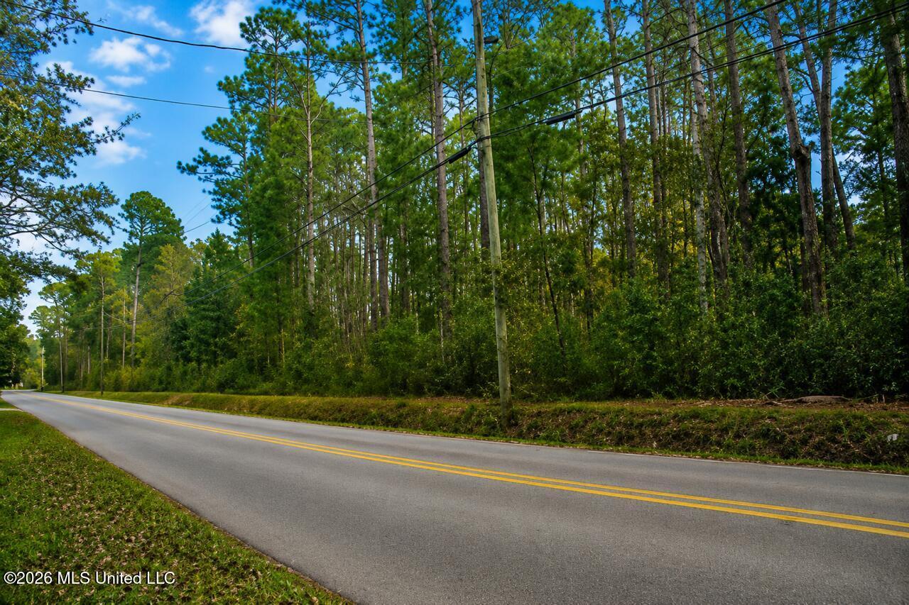 Image 2: Elm Avenue lots