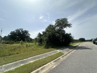 110 Destiny Oaks Drive