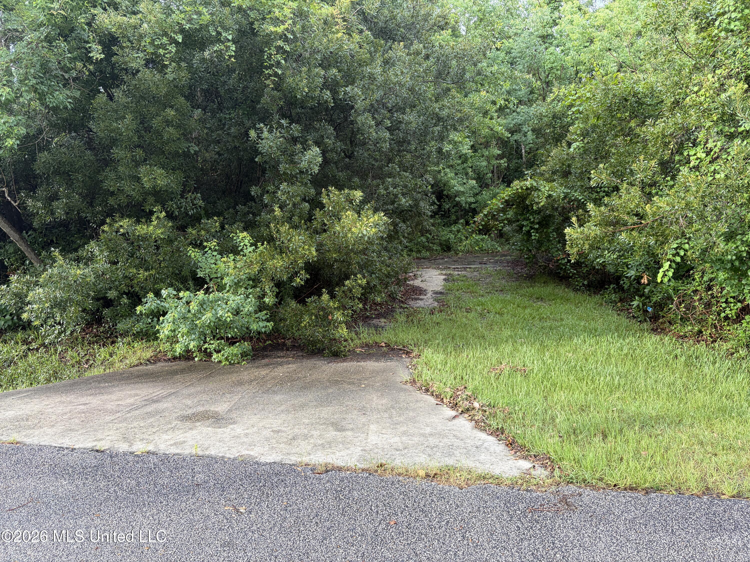 Image 3: IMG_0674