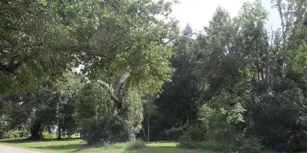 Nhn 31st Avenue