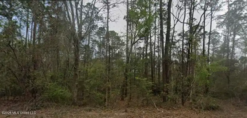 Image 1: Lot 10