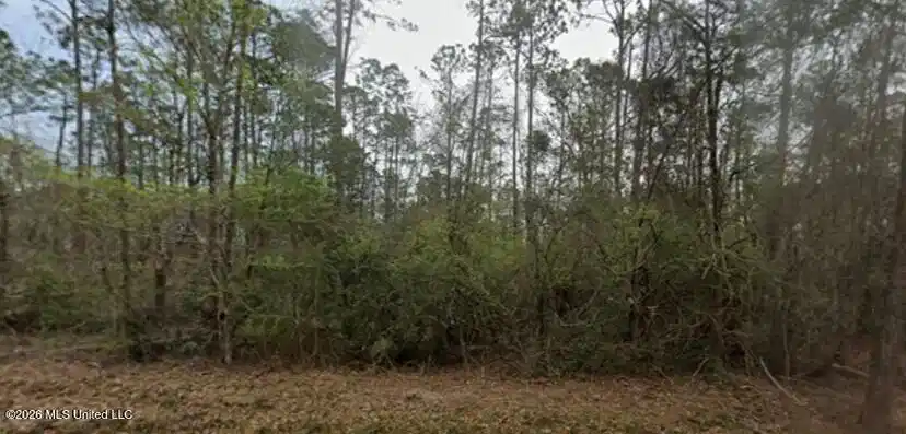 Image 1: Lot 9