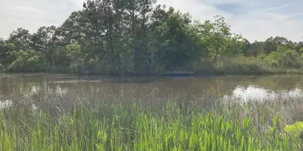 000 Old Lazy River Road