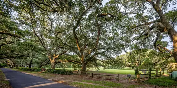 Lot 8 Pointe Aux Chenes