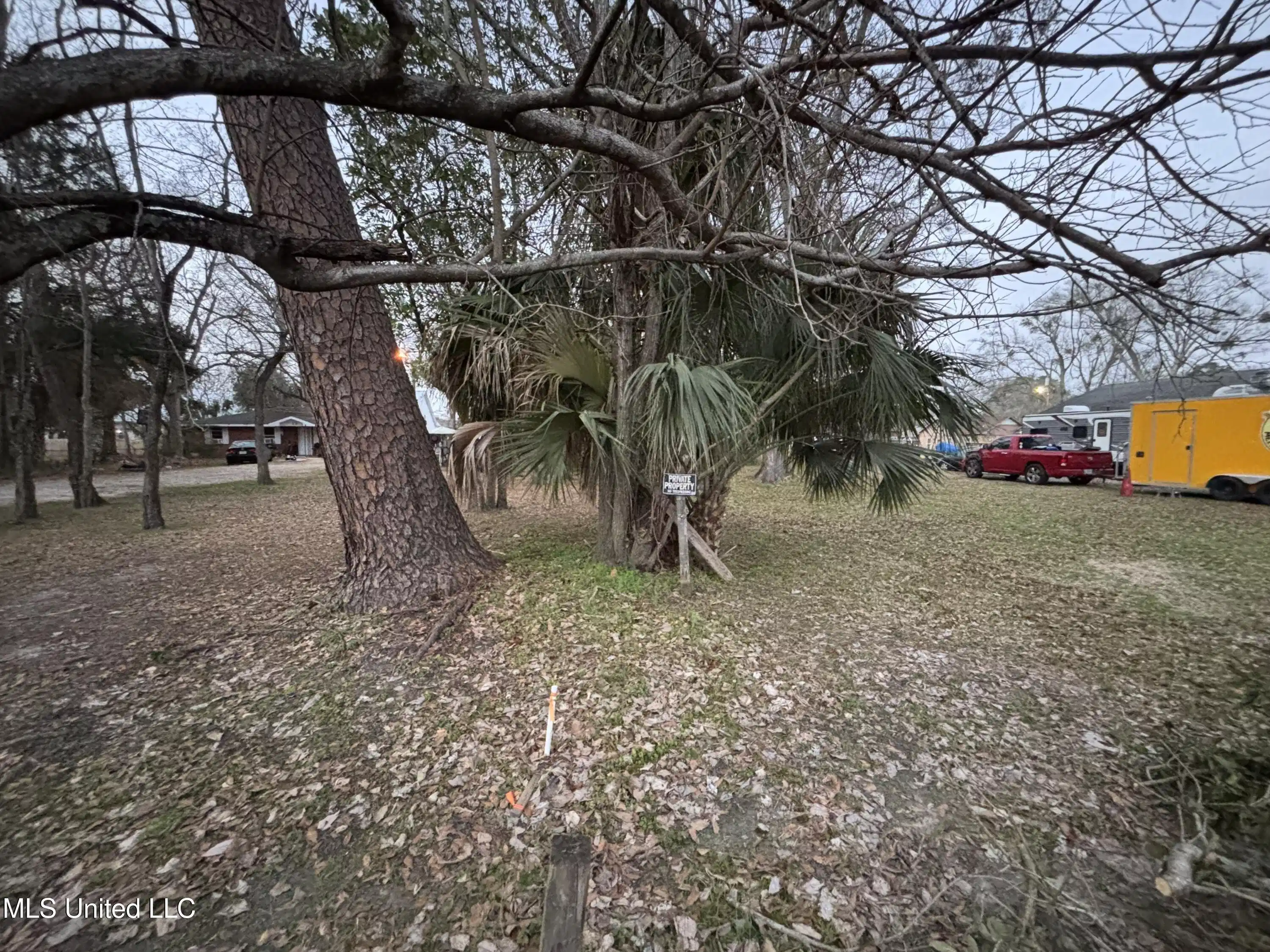 Image 1: 1115 DESOTO STREET