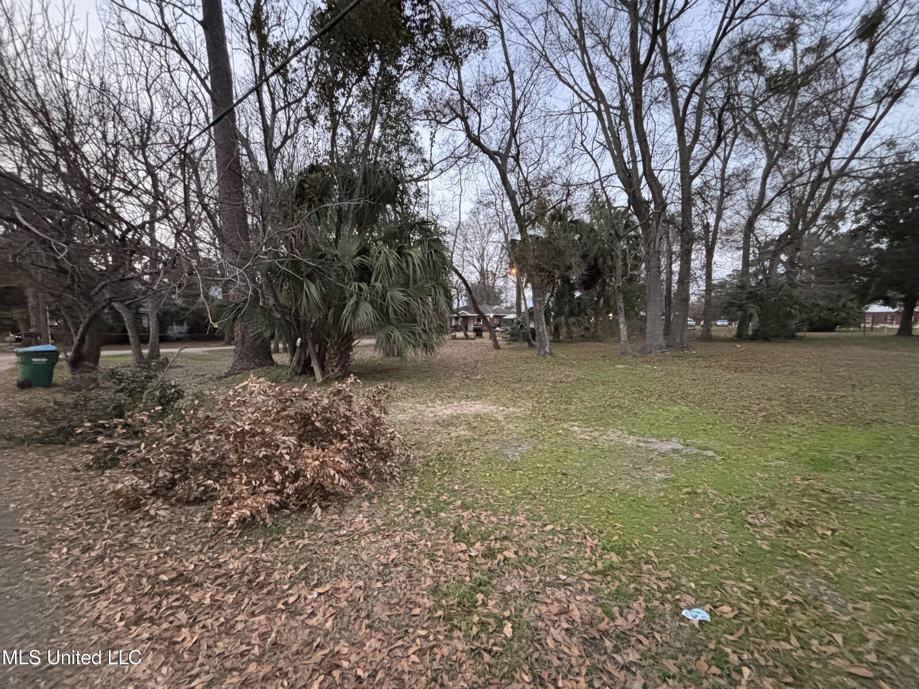 Image 2: IMG_0668