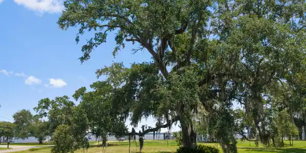 Engman Avenue