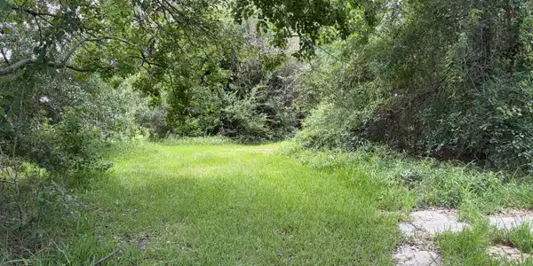 Image 2: Interior View