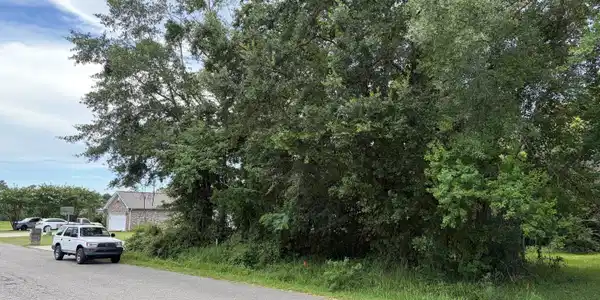 Image 4: Street View