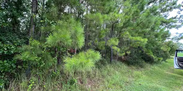 Midway Drive E