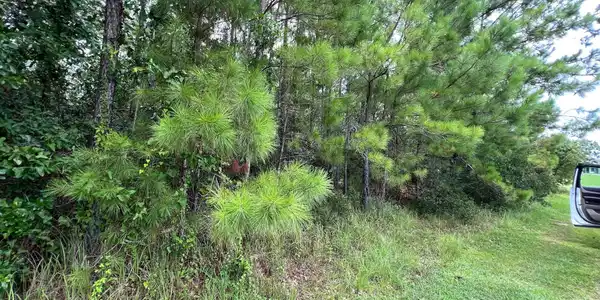 Midway Drive E