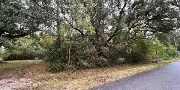 124 Old Pecan Grove Lane