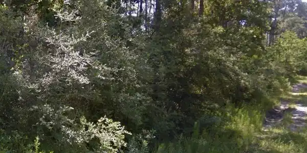 Lot 2398 Oak Street