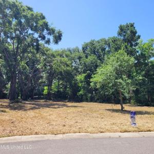 Destiny Oaks Drive