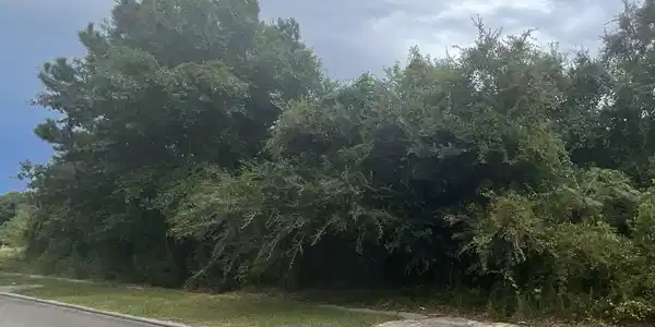 Holiday Avenue