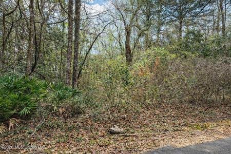 Lot 4 Live Oak Avenue