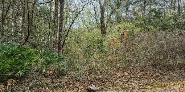 Lot 4 Live Oak Avenue