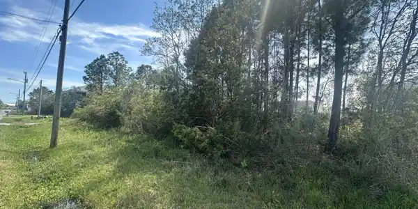 000 Pine Ridge Drive