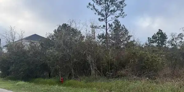 Old Lazy River Road
