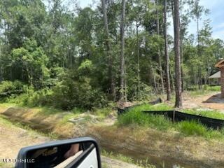 Image 3: IMG_4936.HEIC