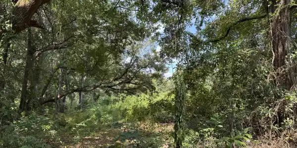 Image 4: Lot View