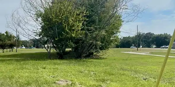 387 Richmond Drive