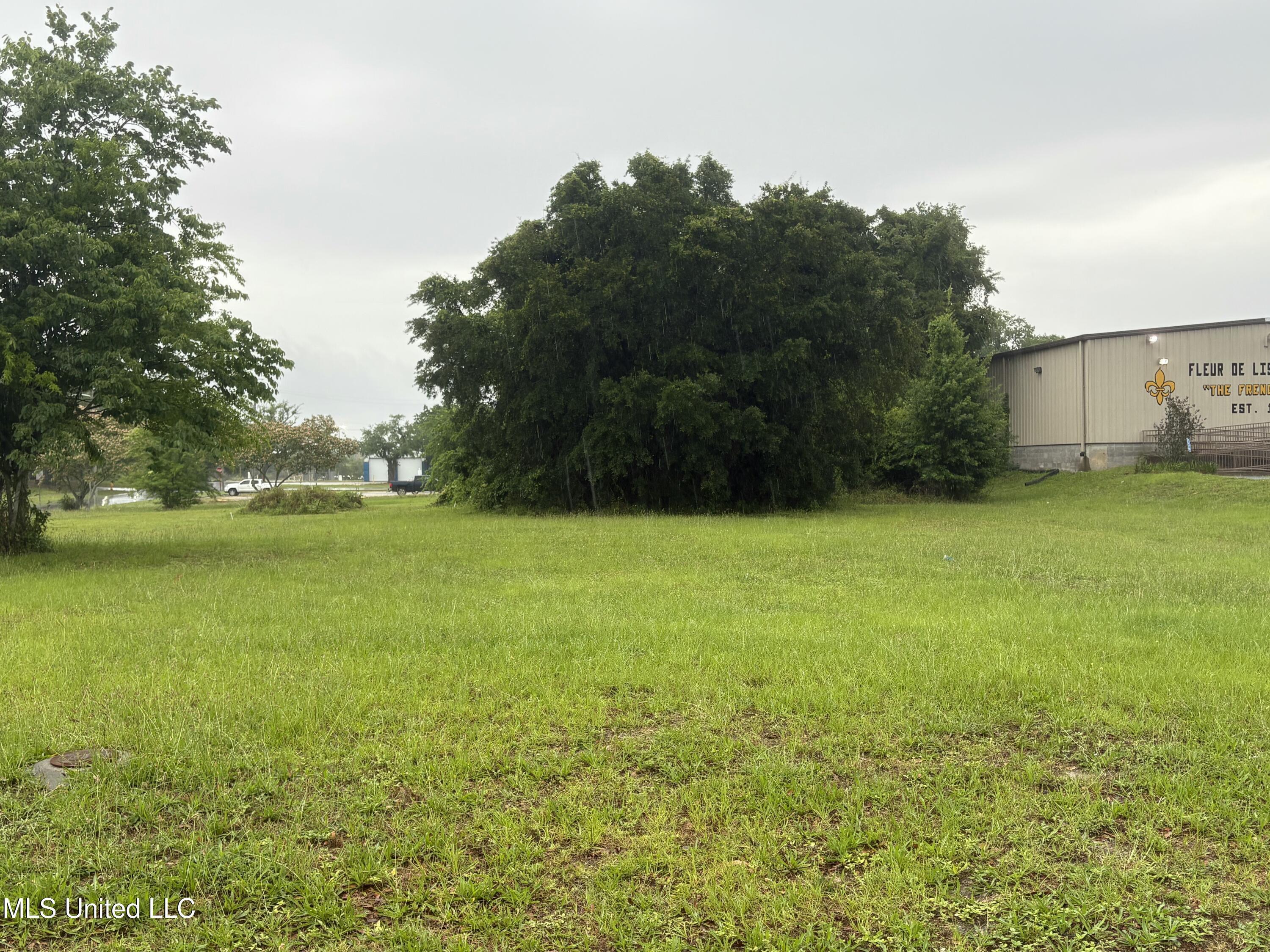 Image 3: IMG_0944