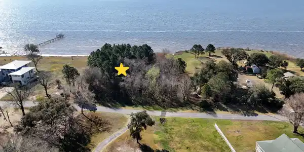 Image 3: DJI_20260224095122_0082_D
