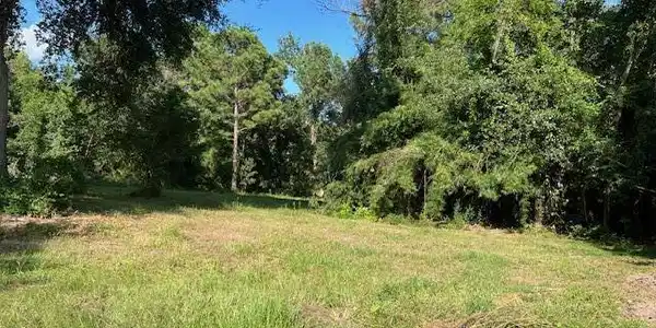 112 Old Pecan Grove